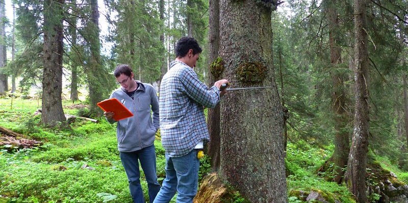 Fieldwork for Interdisciplinary Project 2015 Fieldwork for InPro